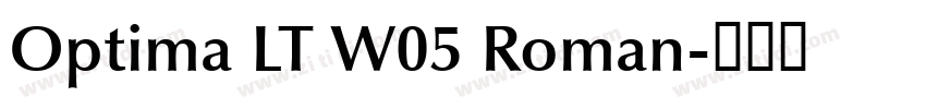 Optima LT W05 Roman字体转换